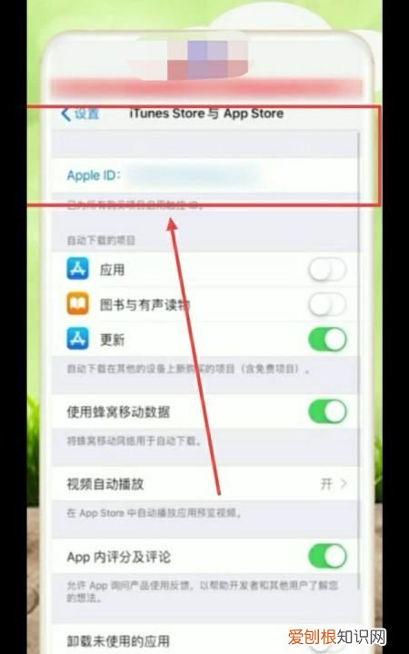 苹果手机appstop怎么设置中文