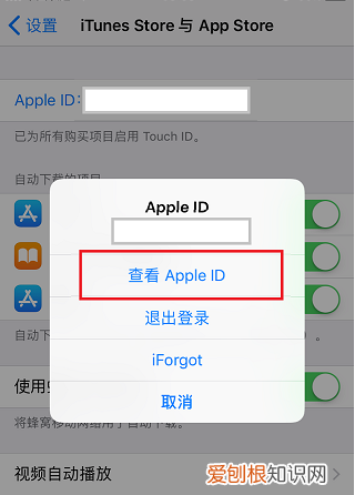苹果手机appstop怎么设置中文