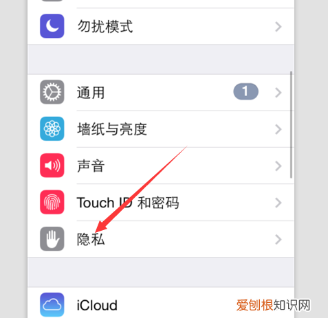 苹果手机怎么禁用摄像头，苹果4pro如何关闭桌面摄像头功能