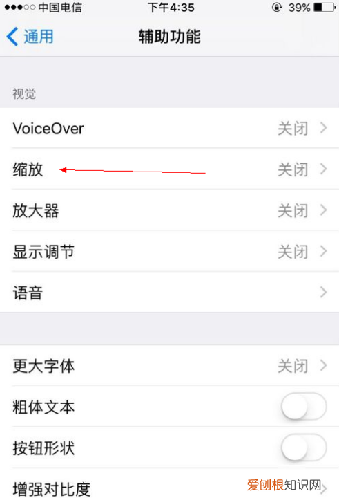 苹果放大镜在哪，苹果手机放大镜功能在哪里找