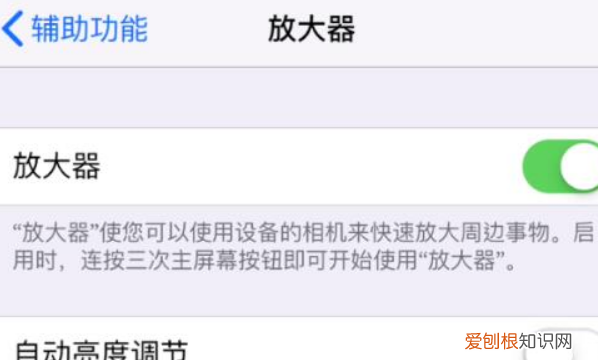 苹果放大镜在哪，苹果手机放大镜功能在哪里找