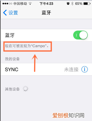 iphone改蓝牙耳机名字