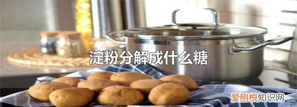 淀粉分解成什么,淀粉分解的三个阶段人体