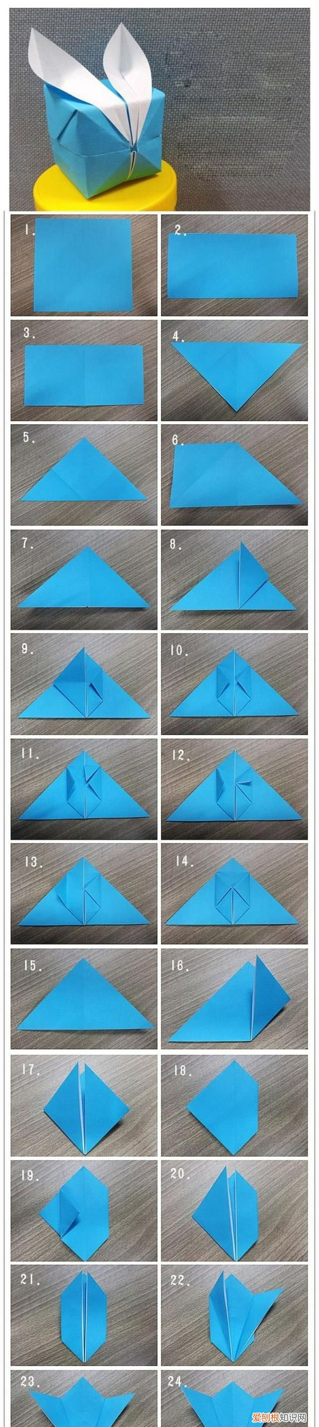 附赠8张精美彩色折纸 可爱的小动物折纸