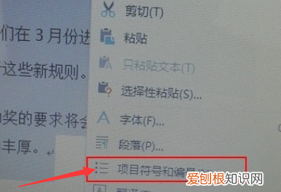 word文档如何添加编号