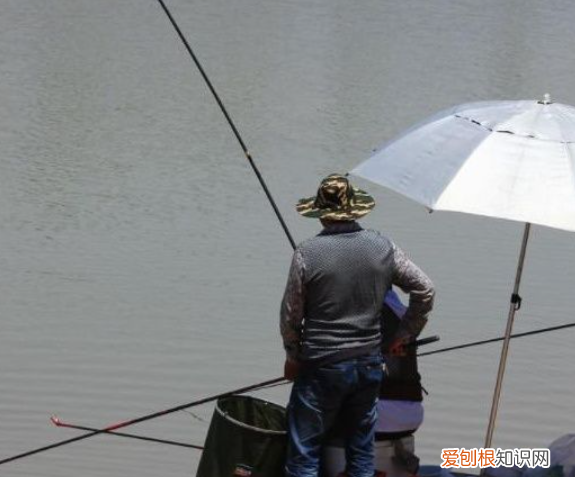 又要威又要戴头盔，钓鱼戴头盔是什么梗