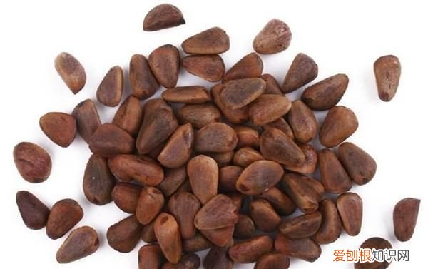 雄激素炖鸡汤,天然雄激素炖鸡汤