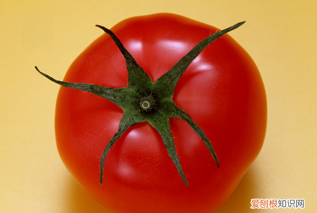 这三种蔬菜不能放冰箱,3种蔬菜不能放冰箱