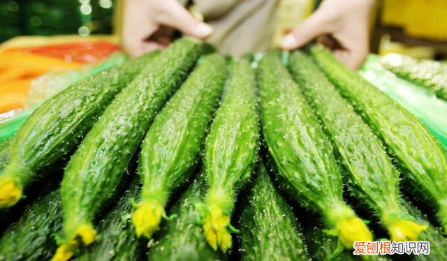这三种蔬菜不能放冰箱,3种蔬菜不能放冰箱