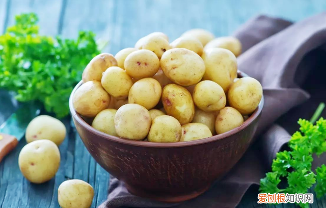 这三种蔬菜不能放冰箱,3种蔬菜不能放冰箱