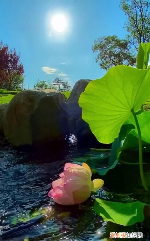 过往云烟什么意思啊，过往云烟表达什么意思