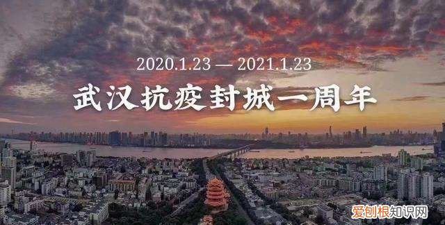 武汉什么时候封城，武汉封城死了多少宠物