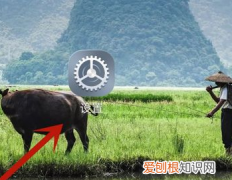 华为微信怎么美颜，华为mate30微信美颜怎么设置