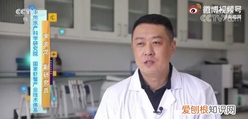 死蟹到底能不能吃别吃错了,蟹死后多长时间就不能吃了