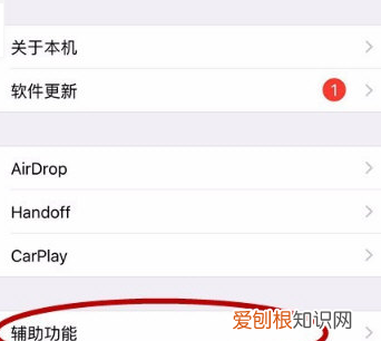 苹果旁白是什么意思，苹果手机旁白什么意思?