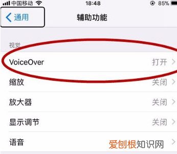 苹果旁白是什么意思，苹果手机旁白什么意思?