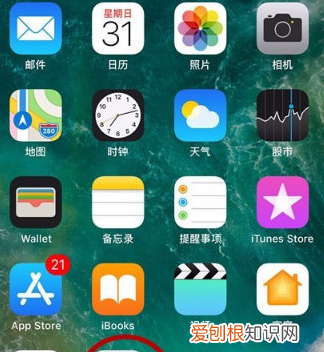 苹果旁白是什么意思，苹果手机旁白什么意思?