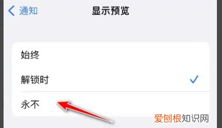 苹果手机如何隐藏信息内容，苹果短信通知内容怎么隐藏起来