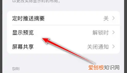 苹果手机如何隐藏信息内容，苹果短信通知内容怎么隐藏起来