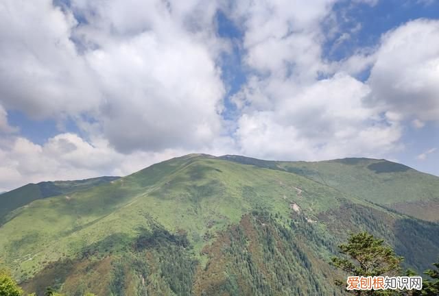 巴朗山云海花海,巴朗山哪里露营看日出