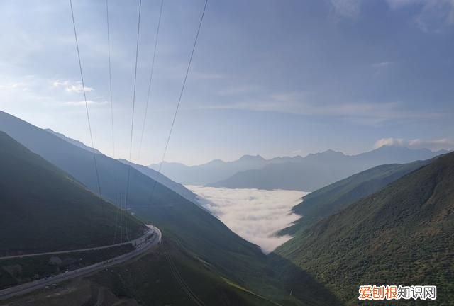 巴朗山云海花海,巴朗山哪里露营看日出