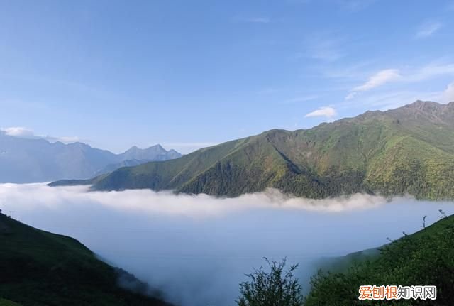 巴朗山云海花海,巴朗山哪里露营看日出