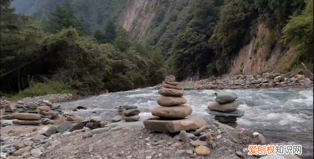 巴朗山云海花海,巴朗山哪里露营看日出