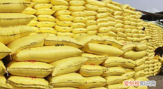 尿素是什么肥，尿素属于什么肥料