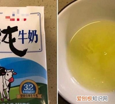 双皮奶教程100%成功 2分钟学会懒人双皮奶