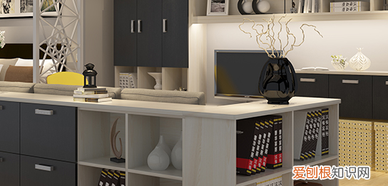 leisure是什么牌子，arialens哪国的牌子