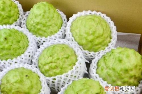 释迦果怎么保存不生虫 释迦果怎么保存