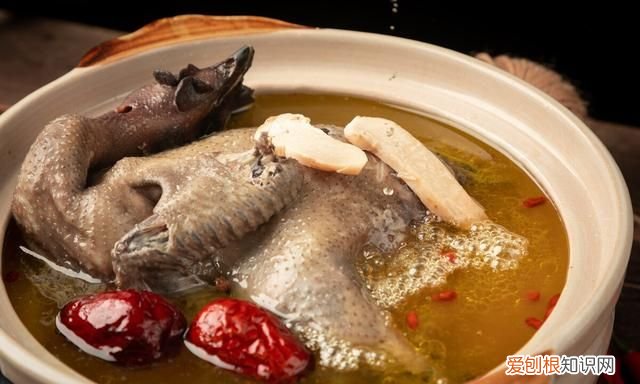 鸡汤如何保存 保存鸡汤的正确方法