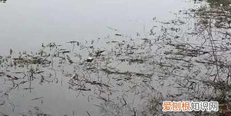 冬天钓鱼如何选位，冬季钓鱼怎么选择钓位钓饵