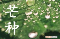 2023年6月6日芒种是结婚黄道吉日吗 2023年6月适合结婚的吉日