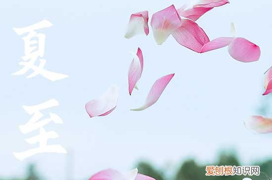 夏至要吃什么食物 2023夏至忌口三种食物