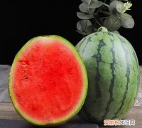 2k西瓜为什么那么甜，2k小西瓜亩种植多少棵