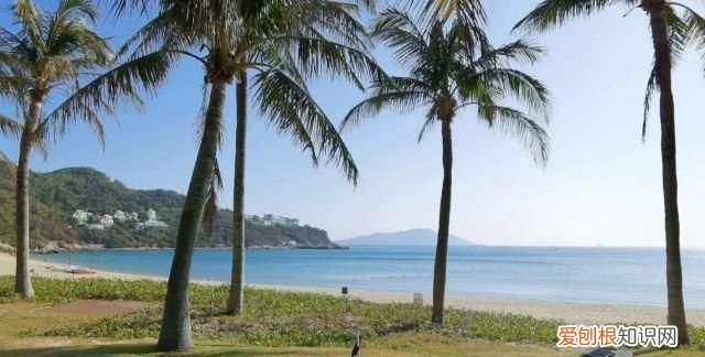 2022珠海春节可以去海岛吗 珠海五一海岛游打卡点