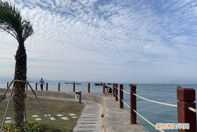 2022珠海春节可以去海岛吗 珠海五一海岛游打卡点