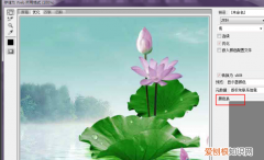 电脑上照片怎么缩小kb，电脑上如何缩小照片尺寸
