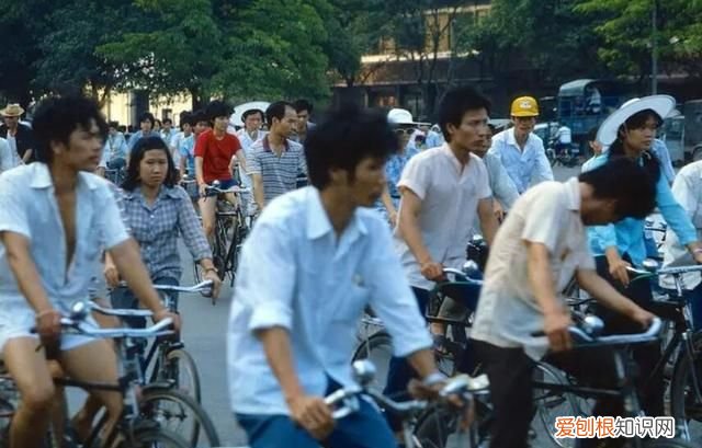 番禺区与佛山市哪个经济强