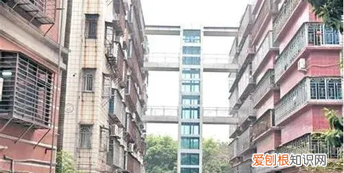 住在底层的业主还要交电梯费，一楼需要交电梯费和电梯维护费吗