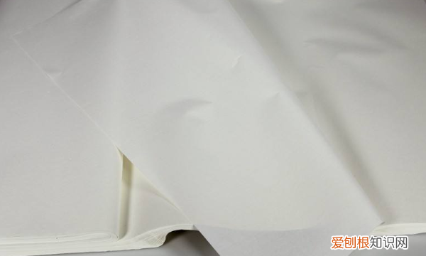 书画作品用什么纸，儿童小写意国画用什么纸好