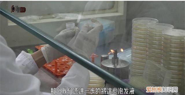 熟木耳泡一晚上有没有毒 黑木耳浸泡多久会产生毒素