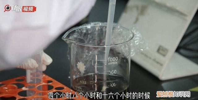 熟木耳泡一晚上有没有毒 黑木耳浸泡多久会产生毒素