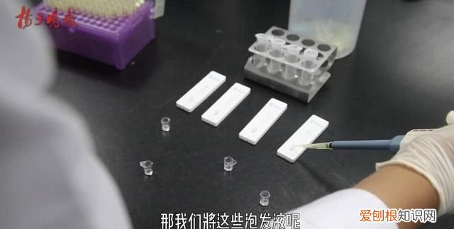 熟木耳泡一晚上有没有毒 黑木耳浸泡多久会产生毒素