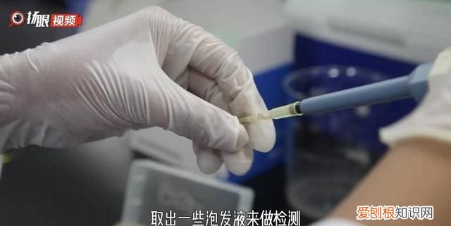 熟木耳泡一晚上有没有毒 黑木耳浸泡多久会产生毒素