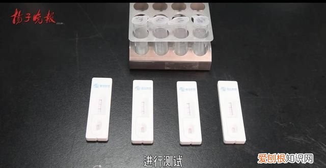 熟木耳泡一晚上有没有毒 黑木耳浸泡多久会产生毒素