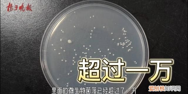 熟木耳泡一晚上有没有毒 黑木耳浸泡多久会产生毒素