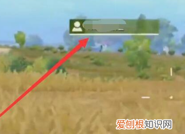 手机版吃鸡怎么看回放，绝地求生刺激战场下载国际服
