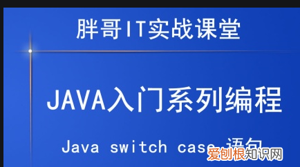 C语言Switch Case语句
